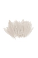 Balon Tüyü Krem - Parti Yıldızı