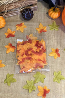 Halloween Çınar Yaprakları - 